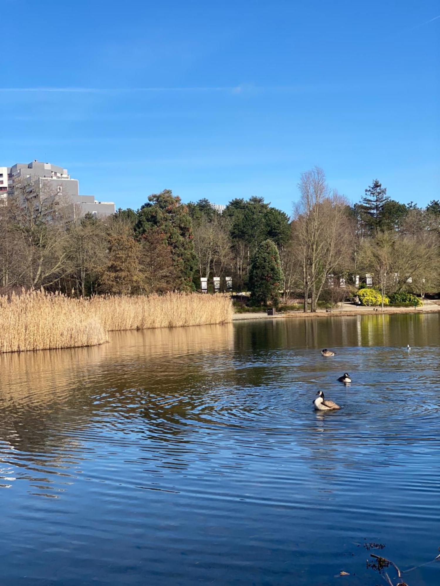 Homestay Close To Arena La Defense Nanterre